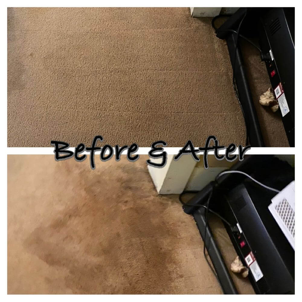 Carpet Cleaning Before